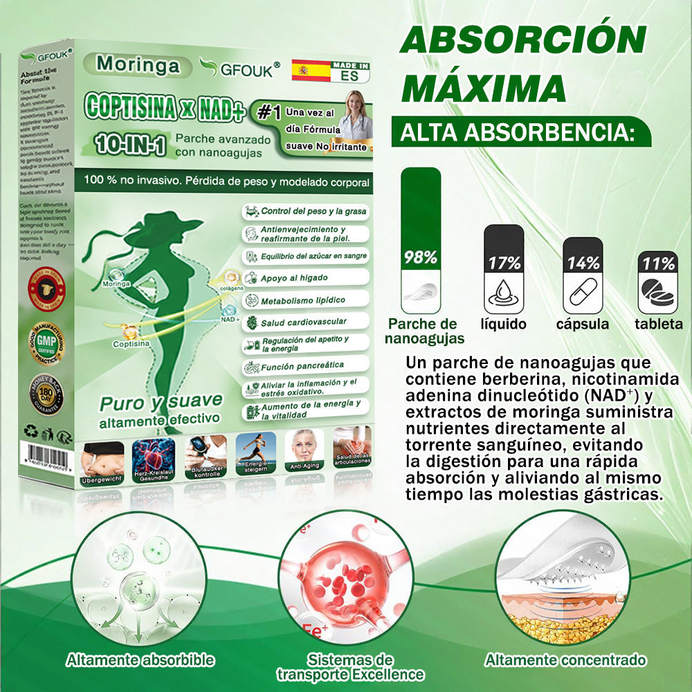 🔥🔥 Nueva actualización 2026 — 🎁𝑮𝑭𝑶𝑼𝑲® 𝑩𝒆𝒓𝒃𝒆𝒓𝒊𝒏𝒂 Nueva Versión 2026 · Edición Ultra Reforzada 10 en 1 · Parche Nano con Microagujas basado en una fórmula científicamente respaldada