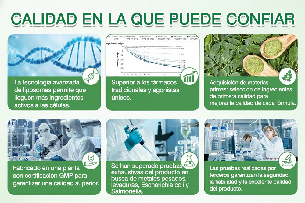 🔥🔥 Nueva actualización 2026 — 👑𝑮𝑭𝑶𝑼𝑲® 𝑩𝒆𝒓𝒃𝒆𝒓𝒊𝒏𝒂 Nueva Versión 2026 · Edición Ultra Reforzada 10 en 1 · Parche Nano con Microagujas basado en una fórmula científicamente respaldada 🌿